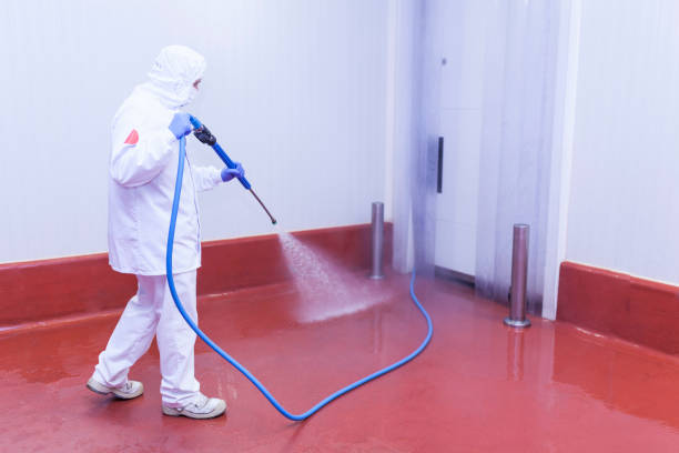 Best Commercial Pressure Washing in Lakeside, MT